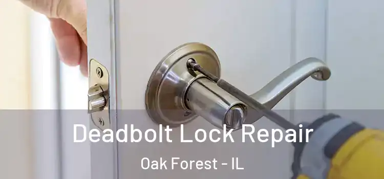  Deadbolt Lock Repair Oak Forest - IL