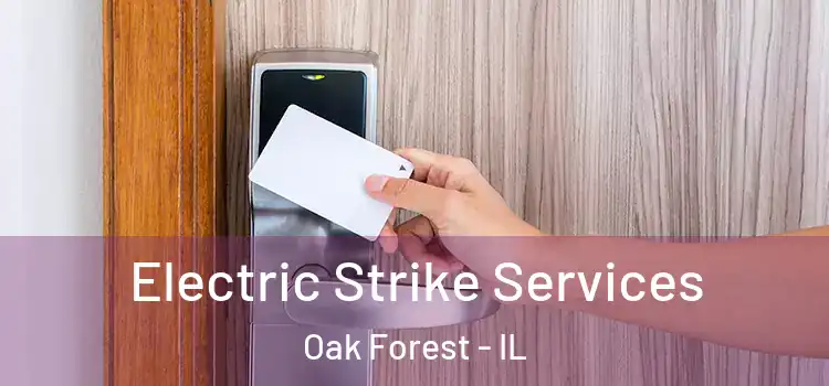  Electric Strike Services Oak Forest - IL