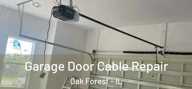  Garage Door Cable Repair Oak Forest - IL