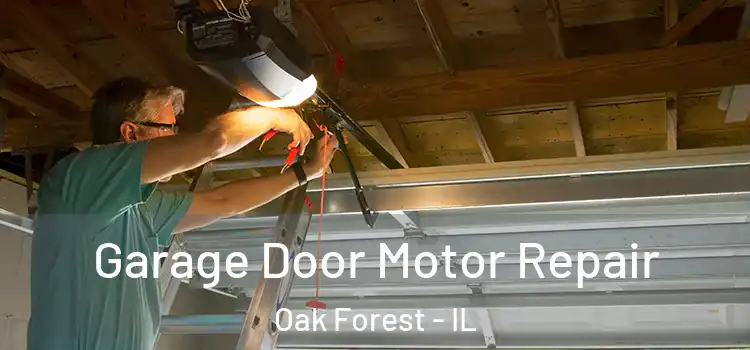  Garage Door Motor Repair Oak Forest - IL