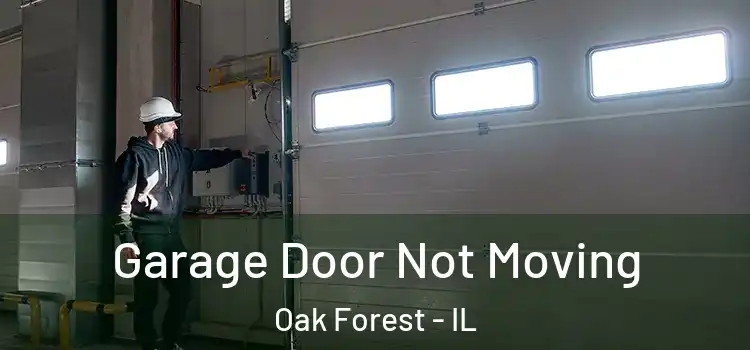  Garage Door Not Moving Oak Forest - IL