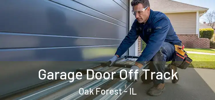  Garage Door Off Track Oak Forest - IL