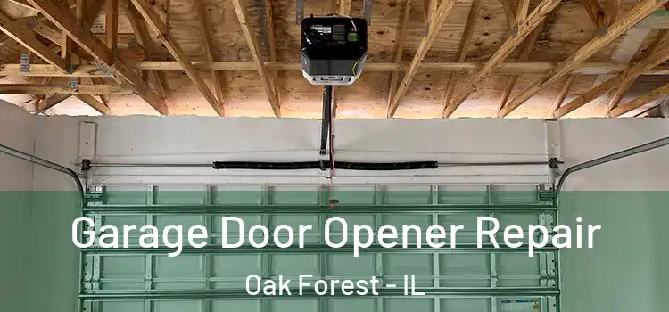  Garage Door Opener Repair Oak Forest - IL