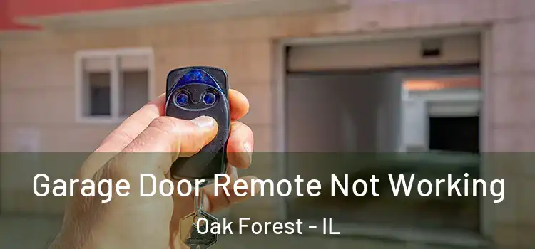  Garage Door Remote Not Working Oak Forest - IL