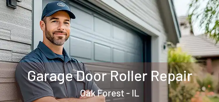  Garage Door Roller Repair Oak Forest - IL