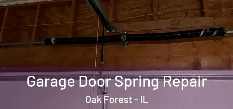  Garage Door Spring Repair Oak Forest - IL