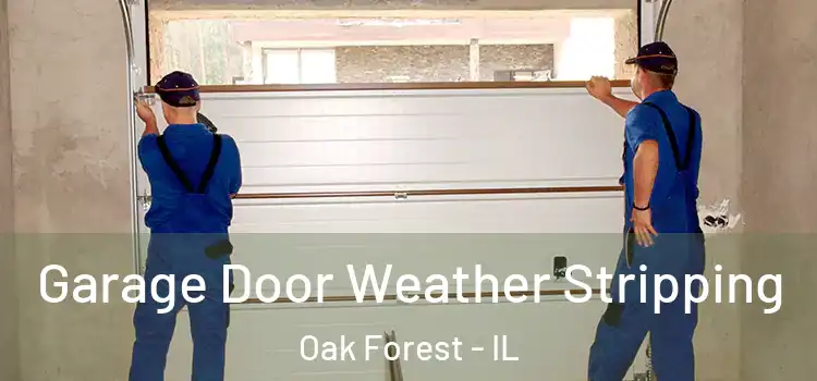 Garage Door Weather Stripping Oak Forest - IL