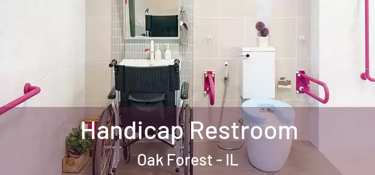  Handicap Restroom Oak Forest - IL