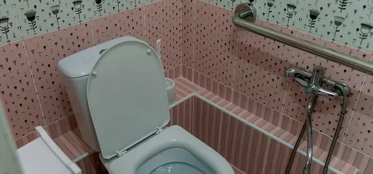 Meeting Diverse Needs With Accessible Restroom Solutions in Oak Forest, IL