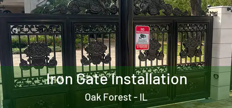  Iron Gate Installation Oak Forest - IL
