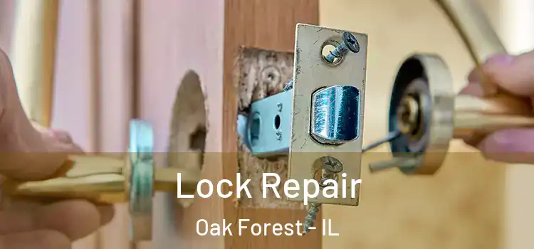  Lock Repair Oak Forest - IL