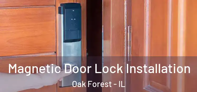  Magnetic Door Lock Installation Oak Forest - IL