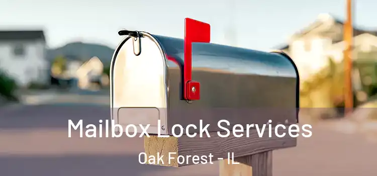 Mailbox Lock Services Oak Forest - IL