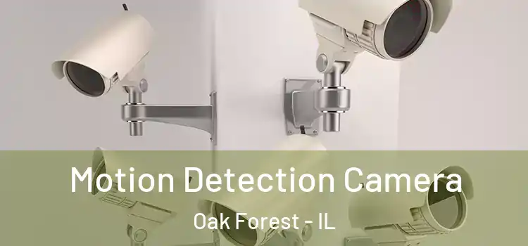  Motion Detection Camera Oak Forest - IL