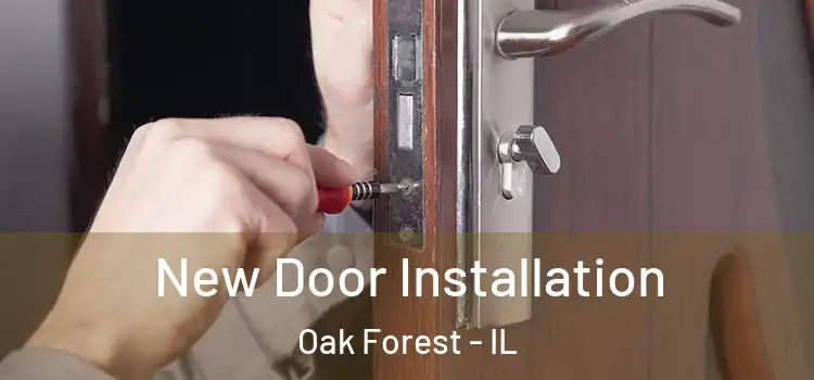  New Door Installation Oak Forest - IL