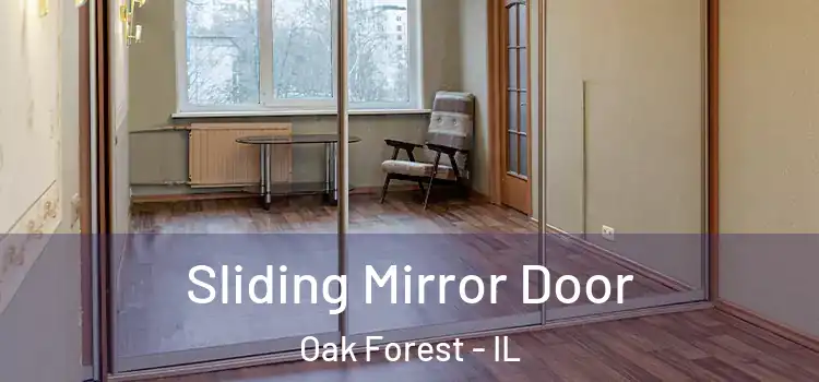  Sliding Mirror Door Oak Forest - IL